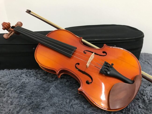 The-Importance-of-Budgeting-for-a-Violin-scaled-2